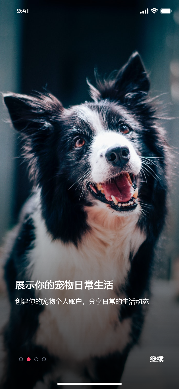 宠物社交平台 APP 22