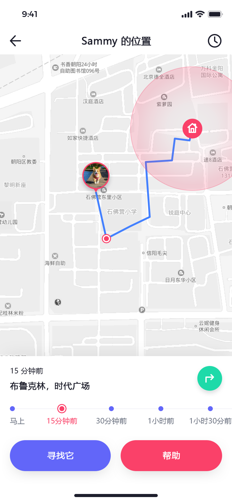 宠物社交平台 APP 37