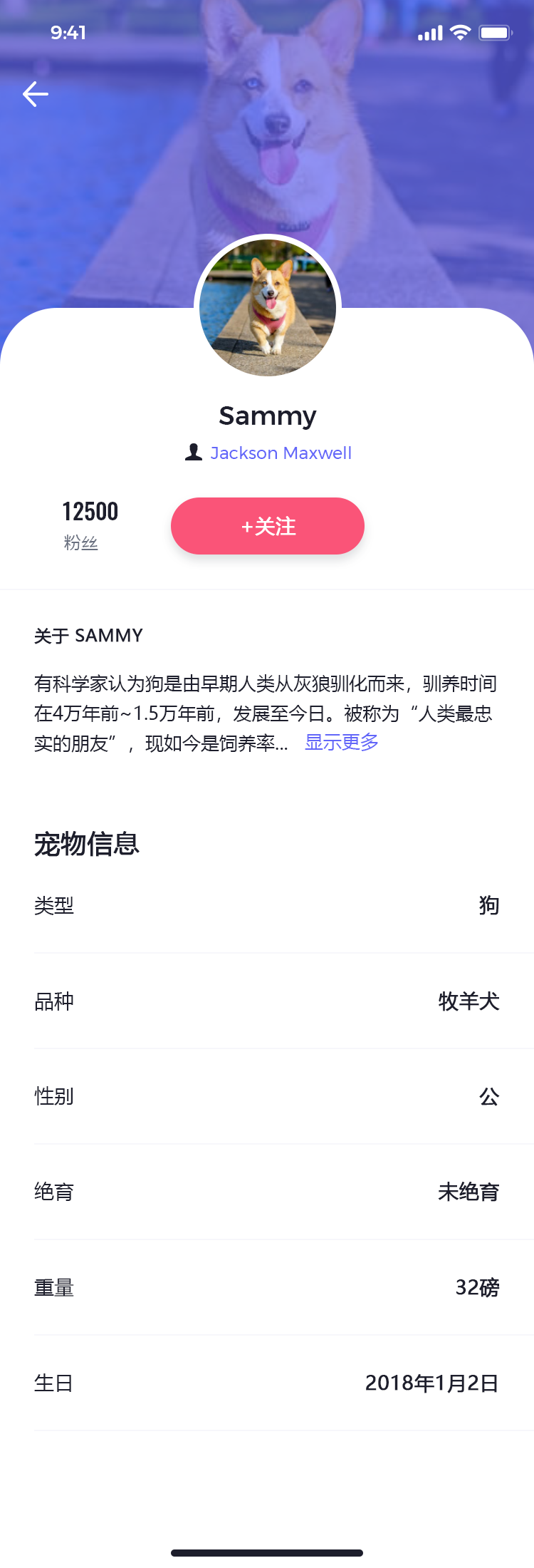 宠物社交平台 APP 80